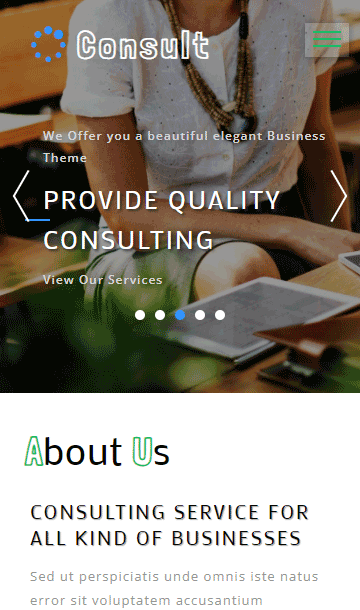 企业网站模板,商业咨询网站模板,业务建议网站模板