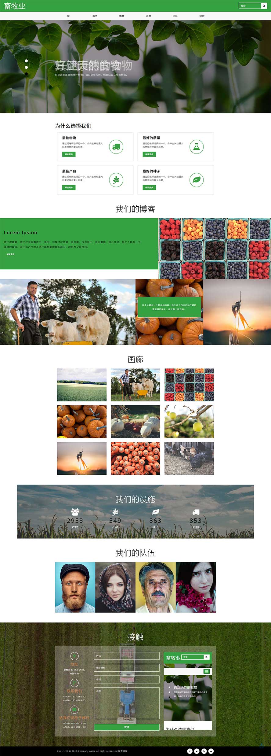 水果单页面模板,蔬菜单页面模板,单页面模板