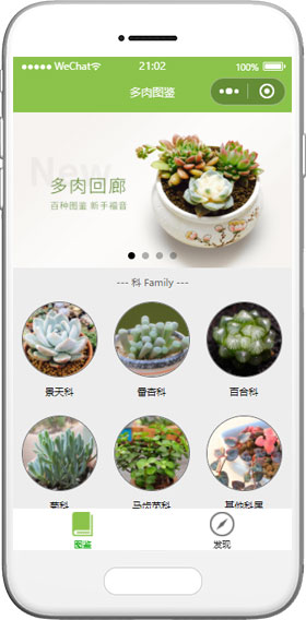 百科全书小程序模板