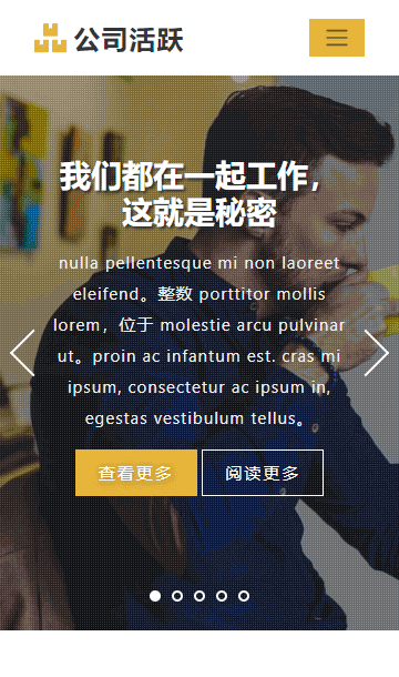 企业活动网页模板,策划网页模板,展示网页模板