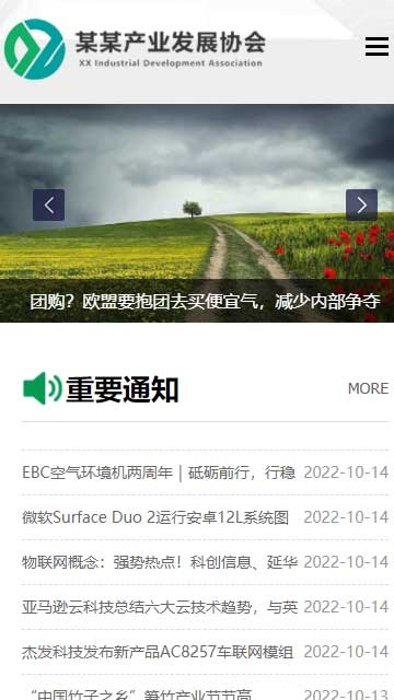 行业协会网站源码,社会组织网站源码,产业机构网站源码