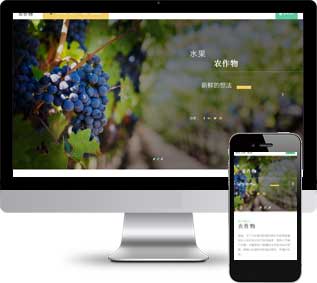 有机水果静态模板,加盟企业html5模板
