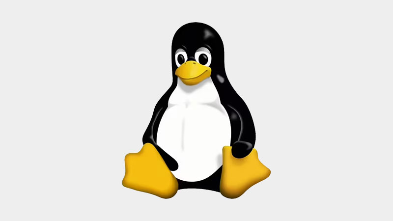 Linux,Linux漏洞